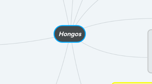 Mind Map: Hongos