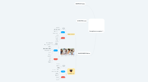 Mind Map: Compétences acquises