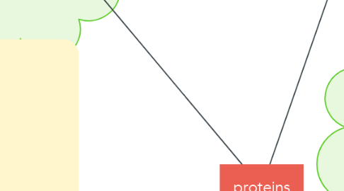 Mind Map: proteins