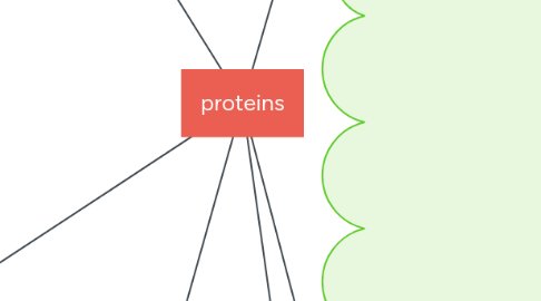 Mind Map: proteins