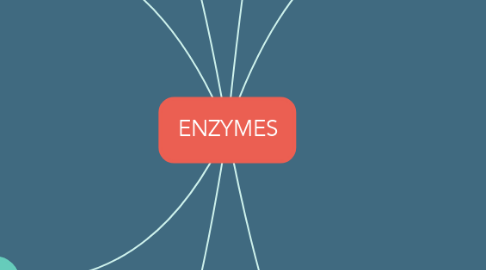 Mind Map: ENZYMES