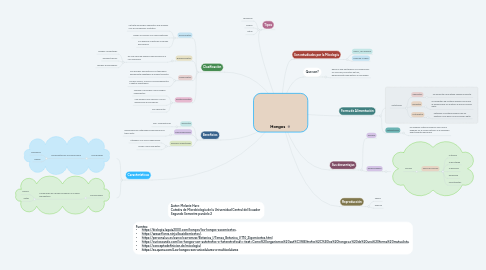 Mind Map: Hongos