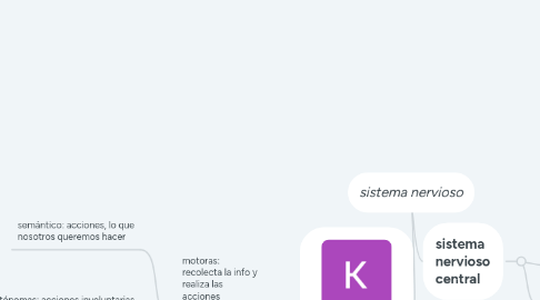 Mind Map: sistema nervioso