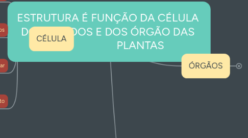 Mind Map: ESTRUTURA É FUNÇÃO DA CÉLULA DOS TECIDOS E DOS ÓRGÃO DAS PLANTAS