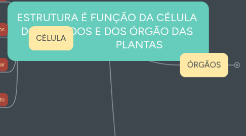 Mind Map: ESTRUTURA É FUNÇÃO DA CÉLULA  DOS TECIDOS E DOS ÓRGÃO DAS                         PLANTAS