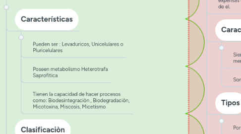 Mind Map: HONGOS Y PARÀSITOS