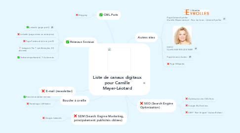 Mind Map: Liste de canaux digitaux pour Camille Meyer-Léotard