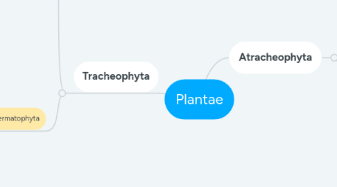 Mind Map: Plantae