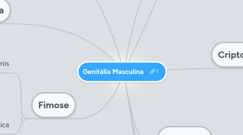 Mind Map: Genitália Masculina