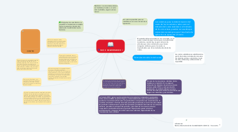 Mind Map: NIC 2  INVENTARIOS