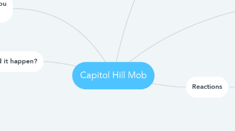 Mind Map: Capitol Hill Mob