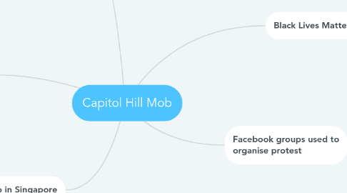 Mind Map: Capitol Hill Mob