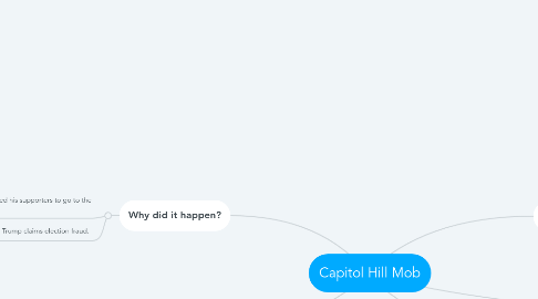 Mind Map: Capitol Hill Mob