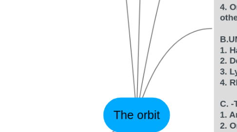 Mind Map: The orbit