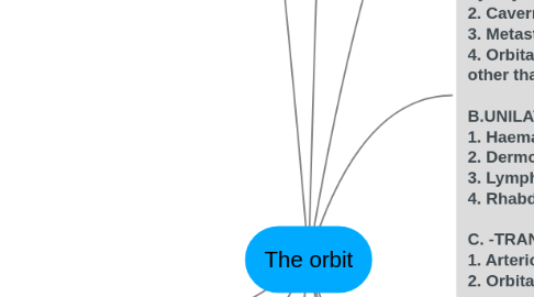 Mind Map: The orbit