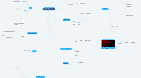 Mind Map: Topic 2 - Organization