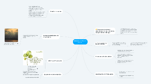 Mind Map: DIÁLOGO Y AMISTAD SOCIAL