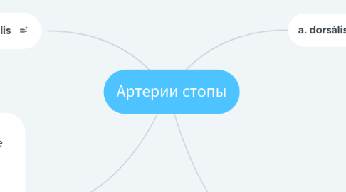 Mind Map: Артерии стопы