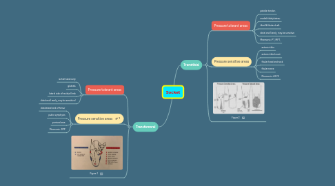 Mind Map: Socket