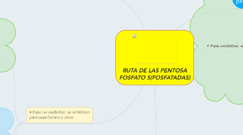 Mind Map: RUTA DE LAS PENTOSA FOSFATO S(FOSFATADAS)