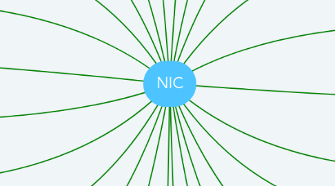 Mind Map: NIC