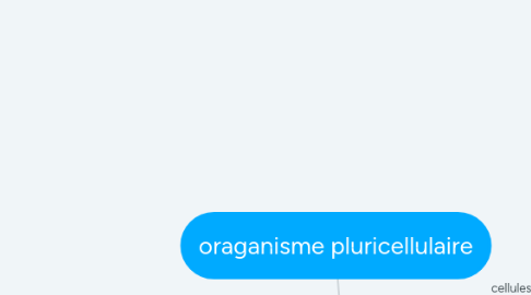 Mind Map: oraganisme pluricellulaire