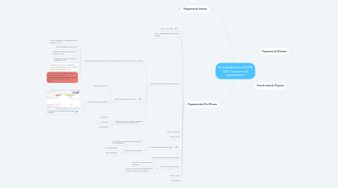 Mind Map: Accompagnement ACEPP 2021 "ressources & capitalisation"