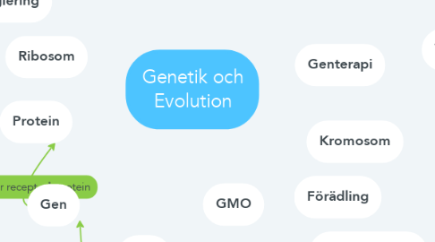 Mind Map: Genetik och Evolution