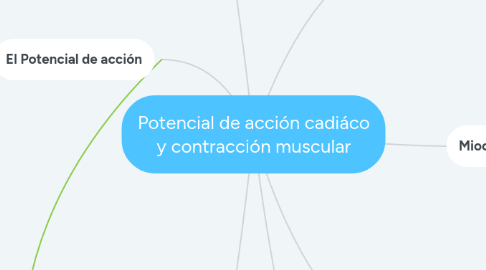 Mind Map: Potencial de acción cadiáco y contracción muscular