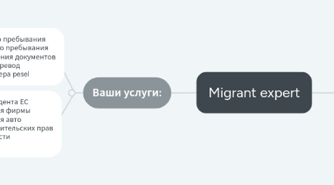 Mind Map: Migrant expert