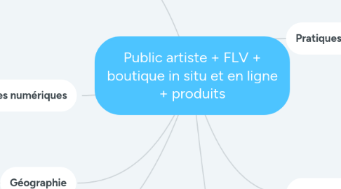 Mind Map: Public artiste + FLV + boutique in situ et en ligne + produits