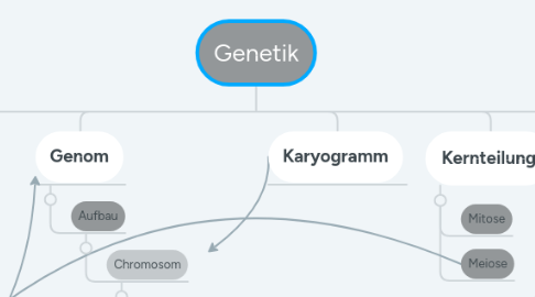 Mind Map: Genetik