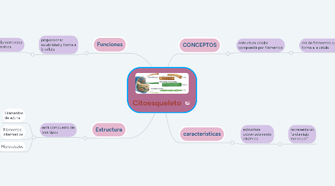 Mind Map: Citoesqueleto