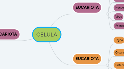 Mind Map: CELULA
