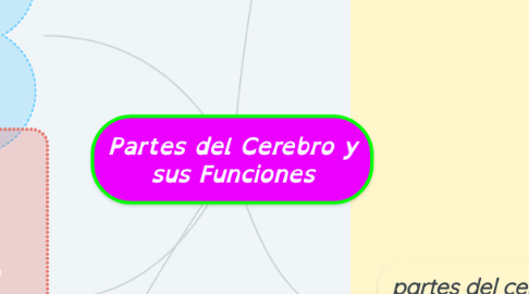 Mind Map: Partes del Cerebro y sus Funciones