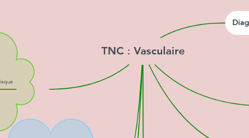 Mind Map: TNC : Vasculaire