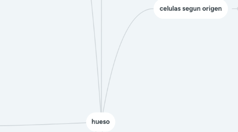 Mind Map: hueso