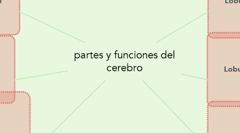 Mind Map: partes y funciones del cerebro