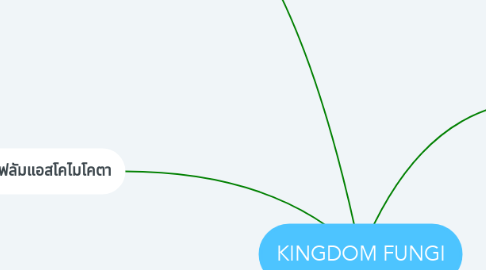 Mind Map: KINGDOM FUNGI