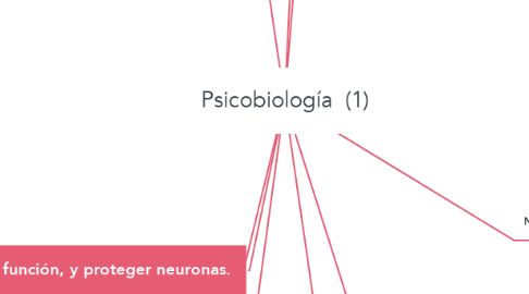 Mind Map: Psicobiología  (1)