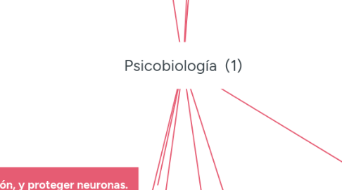 Mind Map: Psicobiología (1)