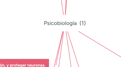 Mind Map: Psicobiología  (1)