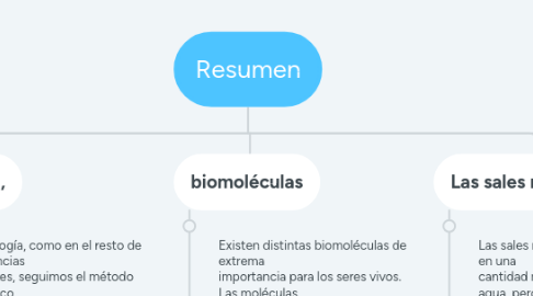 Mind Map: las funciones vitales del ser humano