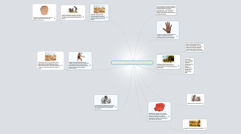 Mind Map: El papel del trabajo en la transformación del mono al hombre