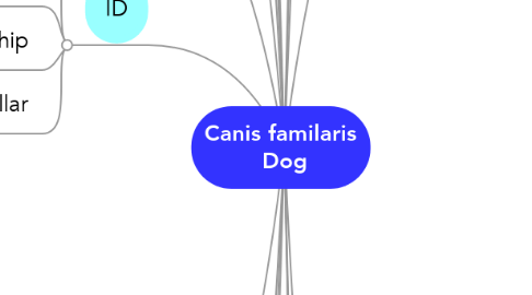 Mind Map: Canis familaris  Dog