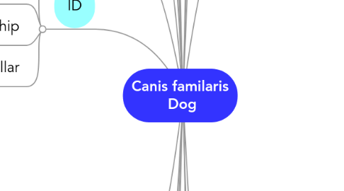Mind Map: Canis familaris Dog