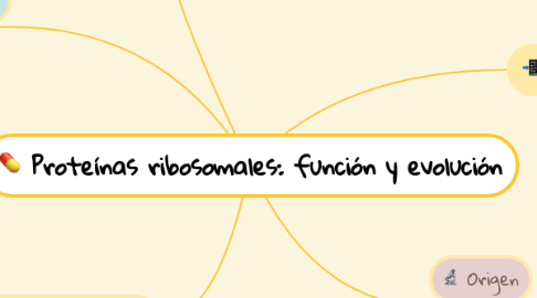 Mind Map: Proteínas ribosomales: función y evolución