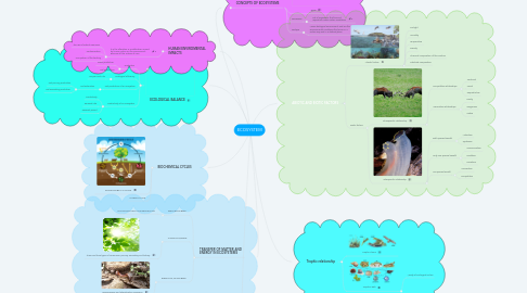 Mind Map: ECOSYSTEM
