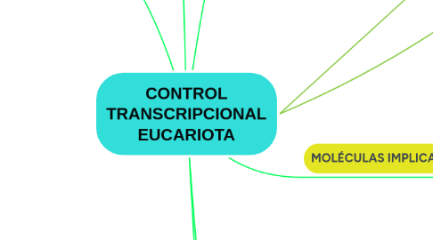 Mind Map: CONTROL TRANSCRIPCIONAL EUCARIOTA