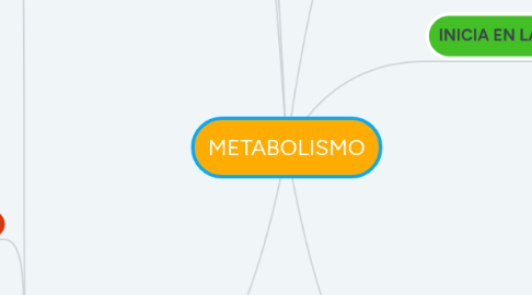 Mind Map: METABOLISMO